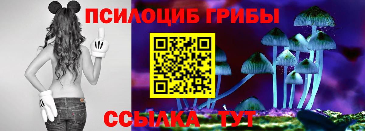 Галлюциногенные грибы ЛСД  Галлюциногенные грибы GOLDEN TEACHER  Москва  Вход с VPN 