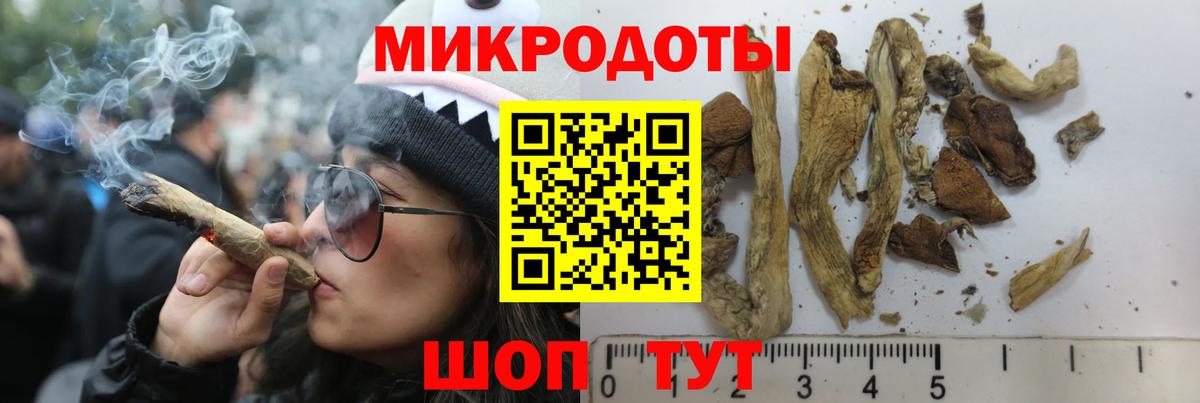 Галлюциногенные грибы GOLDEN TEACHER Москва